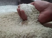 Pasca Pemilu di Kotamobagu, Harga Beras Naik Bervariasi.
