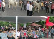 Jelang Hari Raya Idul Adha 1445 H, Gubernur Olly Serahkan Ratusan Ekor Hewan Qurban Untuk Ummat Muslim di Sulut