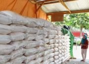 Lakukan Monitoring Ketersediaan Pupuk Bersubsidi, Jadi Upaya Dinas Pertanian dan Perikanan Kotamobagu Mendukung Petani.