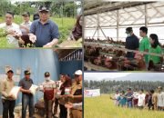 Antisipasi Inflasi, Abdullah Mokoginta Tinjau Ketersediaan Produksi Pangan di Kotamobagu.