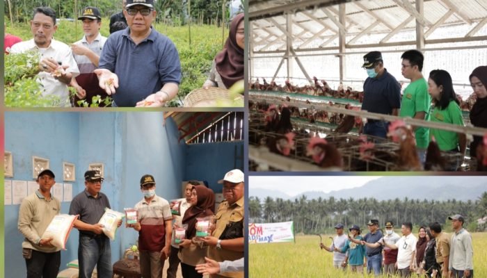 Antisipasi Inflasi, Abdullah Mokoginta Tinjau Ketersediaan Produksi Pangan di Kotamobagu.