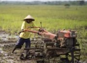 Pemkot Kotamobagu Salurkan Bibit dan Alat Pertanian.