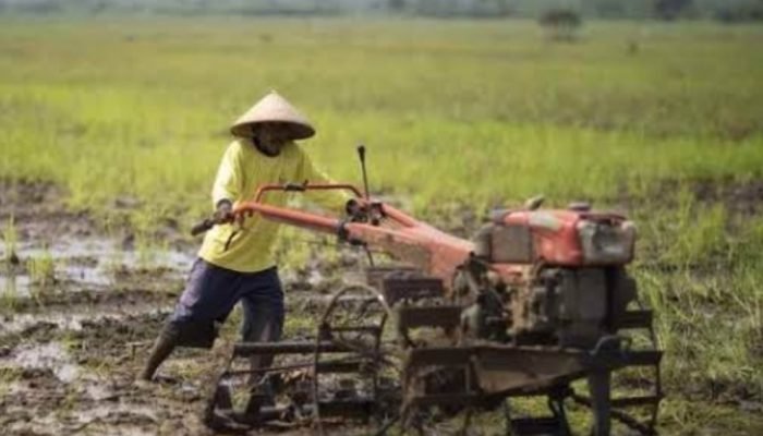 Pemkot Kotamobagu Salurkan Bibit dan Alat Pertanian.
