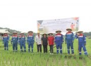 PGE Dukung Pertanian Berkelanjutan di Tomohon dengan Penyemprotan Pupuk Booster Katrili