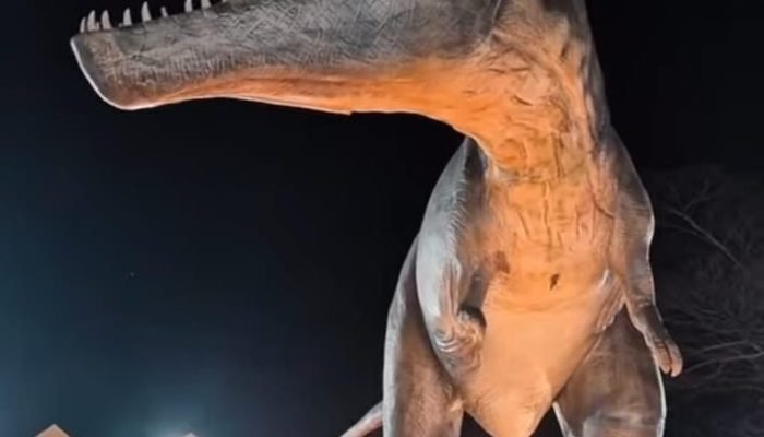 Dino Planet Hadir di Lippo Plaza Manado, Ajarkan Petualangan Prasejarah yang Seru dan Edukatif