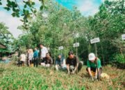 Pertamina Patra Niaga IT Bitung Gaungkan Semangat Pelestarian Lingkungan yang Inklusif