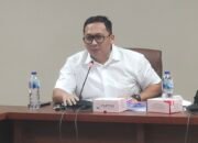 Pemuda Sulit Berkreasi, Pierre Makisanti:  Peran Pemerintah Sangat Penting