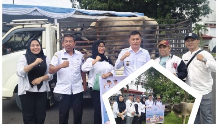 Terima Bantuan Hewan Qurban, Bupati dan Wabup Boltim Ucapkan Terima Kasih Kepada Presiden RI dan Gubernur Sulut