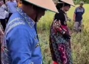 Bukti Komitmen Penuh Perkuat Sektor Pertanian Sulut, Gubernur Yulius Bersama Istri Hadir ditengah-tengah Petani