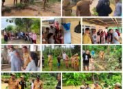 Bupati Oskar Tinjau Lokasi Banjir di Kecamatan Motongkad dan Nuangan
