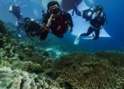 Pertamina Patra Niaga Sulawesi Rayakan HUT RI ke-80 dengan Pembentangan Bendera Merah Putih Terbesar di Bawah Laut Spot Ikonik Wakatobi