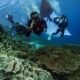 Pertamina Patra Niaga Sulawesi Rayakan HUT RI ke-80 dengan Pembentangan Bendera Merah Putih Terbesar di Bawah Laut Spot Ikonik Wakatobi