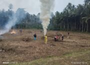 Lapangan Garuda Jaya Tombolikat Mulai Dibersihkan, Muhamad Nur : Semoga Kedepan Bisa Digunakan Untuk Turnamen Bupati Cup