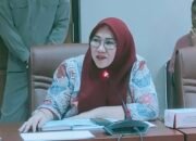 Gas LPJ 3 Kg Langka, Ketua Fraksi NasDem Seska Budiman Sampaikan Hal Ini