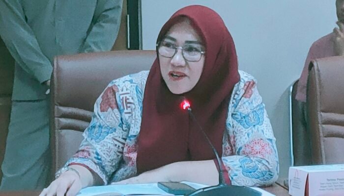 Gas LPJ 3 Kg Langka, Ketua Fraksi NasDem Seska Budiman Sampaikan Hal Ini