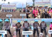 Wali Kota Weny Gaib Hadiri Panen Raya dan Penanaman Jagung yang digelar Polres Kotamobagu.