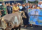 Jelang Idul Adha, Gubernur Yulius Serahkan “Hadiah” Hewan Qurban dari Presiden Prabowo dan Pemprov Sulut