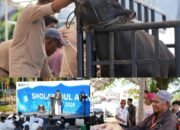 Iduladha Jadi Momentum Kebersamaan, Pertamina Patra Niaga Regional Sulawesi Tebar Ribuan Paket Daging Kurban