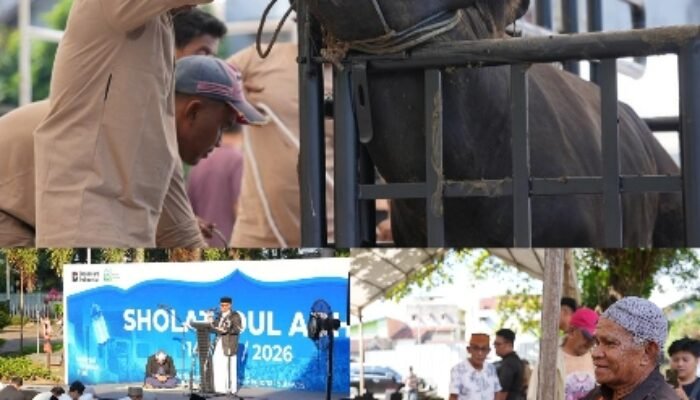 Iduladha Jadi Momentum Kebersamaan, Pertamina Patra Niaga Regional Sulawesi Tebar Ribuan Paket Daging Kurban