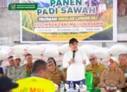 Bupati Yusra Alhabsyi Hadiri Panen Raya di Solog, Tegaskan Pemkab Bolmong Fokus Tingkatkan Produksi Pertanian dan Benahi Irigasi